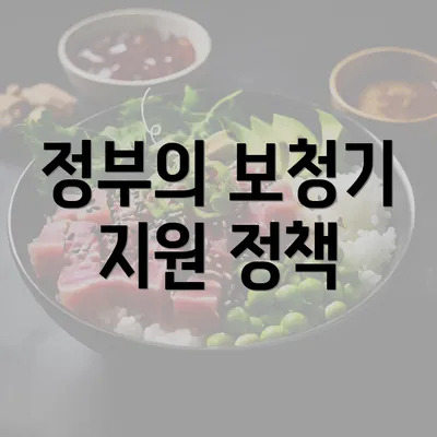 정부의 보청기 지원 정책