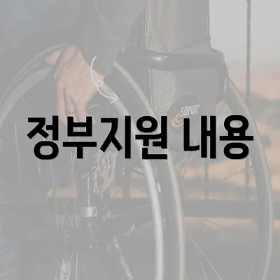 정부지원 내용