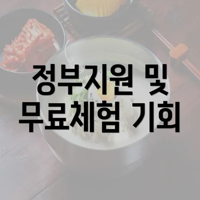 정부지원 및 무료체험 기회