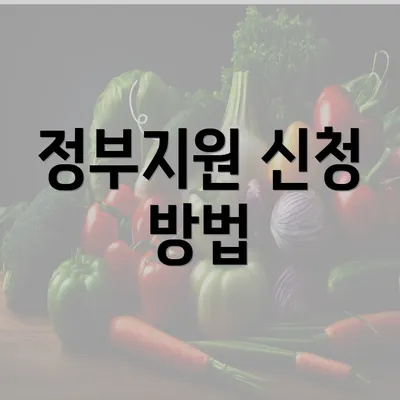 정부지원 신청 방법