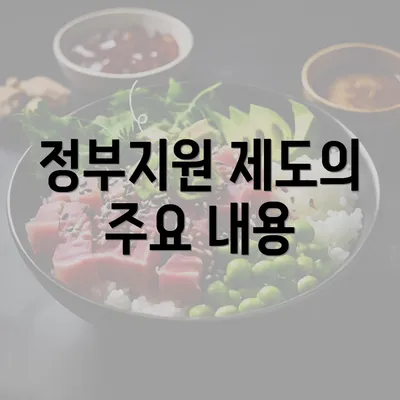 정부지원 제도의 주요 내용