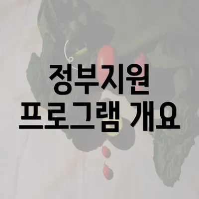 정부지원 프로그램 개요