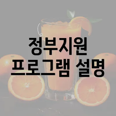 정부지원 프로그램 설명