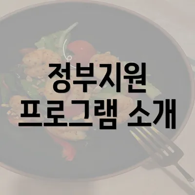 정부지원 프로그램 소개