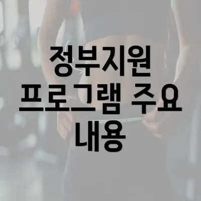 정부지원 프로그램 주요 내용