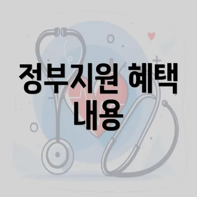 정부지원 혜택 내용