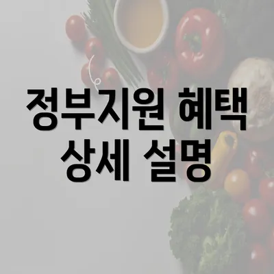 정부지원 혜택 상세 설명