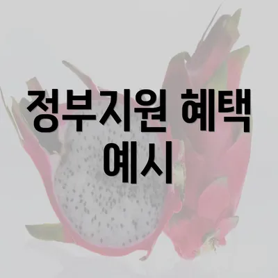 정부지원 혜택 예시