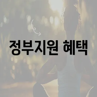 정부지원 혜택