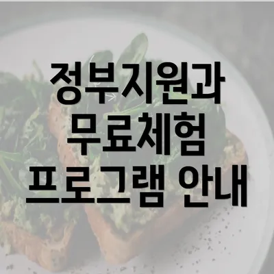 정부지원과 무료체험 프로그램 안내