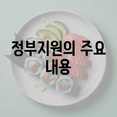 정부지원의 주요 내용