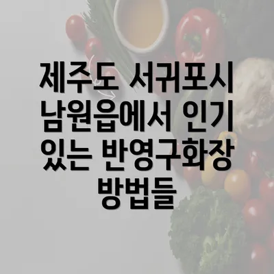 제주도 서귀포시 남원읍에서 인기 있는 반영구화장 방법들