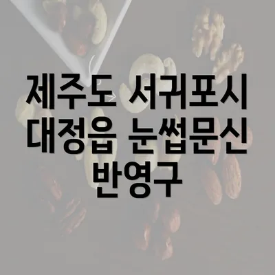 제주도 서귀포시 대정읍 눈썹문신 반영구