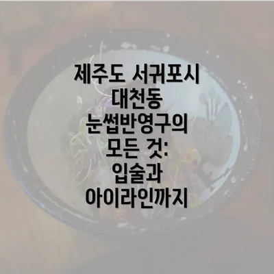 제주도 서귀포시 대천동 눈썹반영구의 모든 것: 입술과 아이라인까지