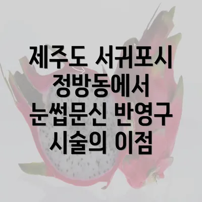 제주도 서귀포시 정방동에서 눈썹문신 반영구 시술의 이점