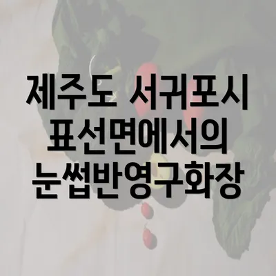 제주도 서귀포시 표선면에서의 눈썹반영구화장