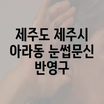 제주도 제주시 아라동 눈썹문신 반영구