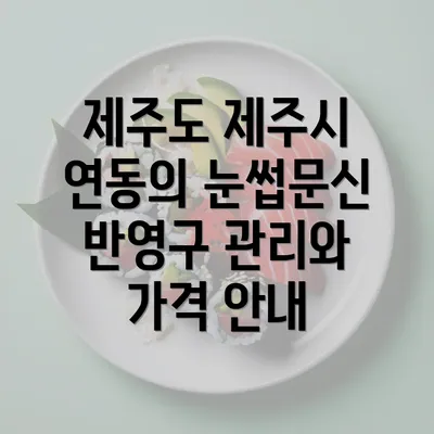 제주도 제주시 연동의 눈썹문신 반영구 관리와 가격 안내