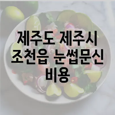 제주도 제주시 조천읍 눈썹문신 비용