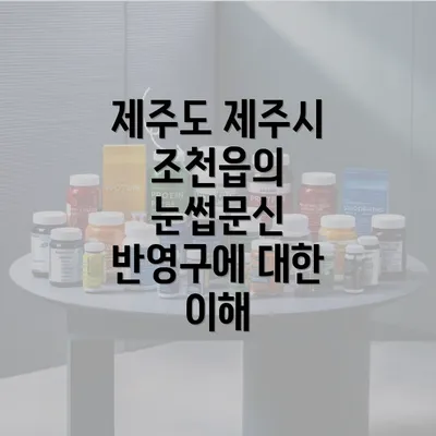 제주도 제주시 조천읍의 눈썹문신 반영구에 대한 이해