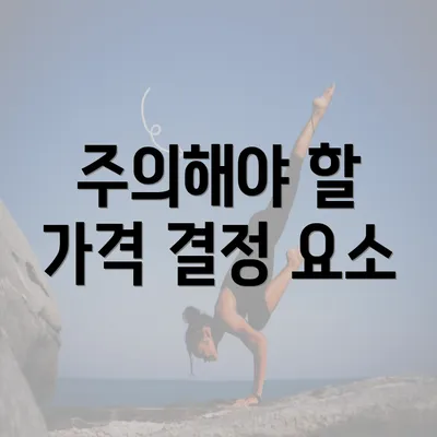 주의해야 할 가격 결정 요소