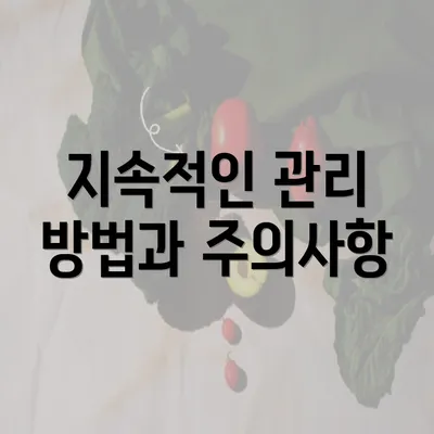 지속적인 관리 방법과 주의사항