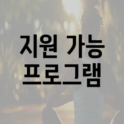 지원 가능 프로그램