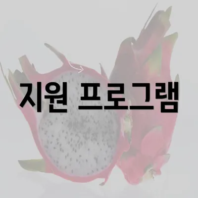 지원 프로그램