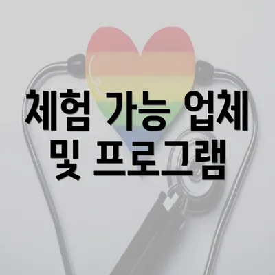 체험 가능 업체 및 프로그램