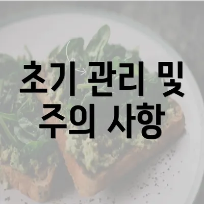 초기 관리 및 주의 사항