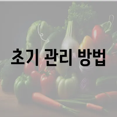 초기 관리 방법