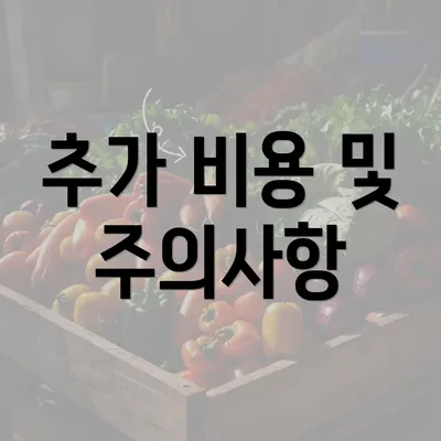 추가 비용 및 주의사항