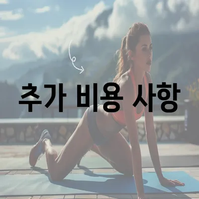 추가 비용 사항