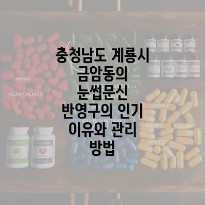 충청남도 계룡시 금암동의 눈썹문신 반영구와 관리에 대한 모든 것