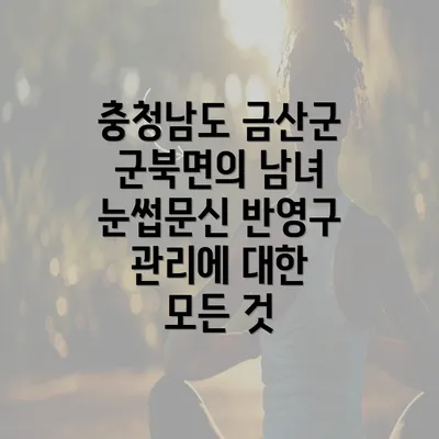 충청남도 금산군 군북면의 남녀 눈썹문신 반영구 관리에 대한 모든 것