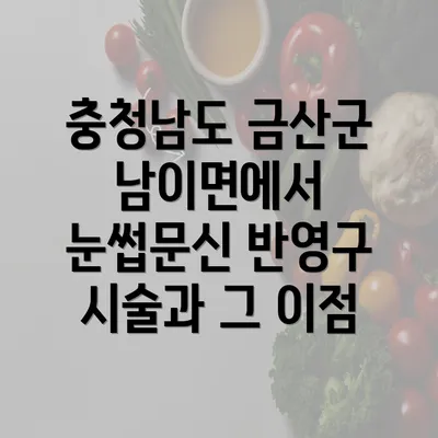 충청남도 금산군 남이면에서 눈썹문신 반영구 시술과 그 이점