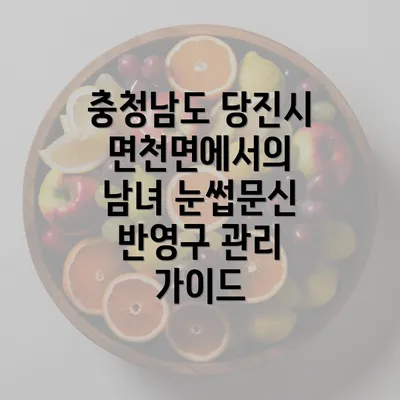 충청남도 당진시 면천면에서의 남녀 눈썹문신 반영구 관리 가이드