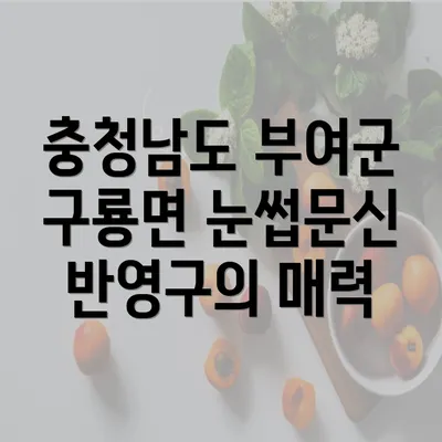 충청남도 부여군 구룡면 눈썹문신 반영구의 매력