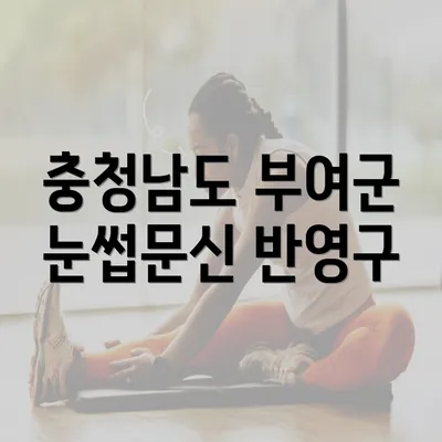 충청남도 부여군 눈썹문신 반영구