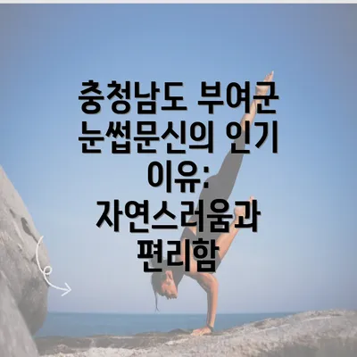 충청남도 부여군 눈썹문신의 인기 이유: 자연스러움과 편리함