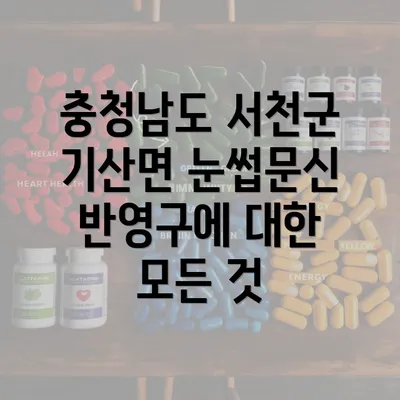 충청남도 서천군 기산면 눈썹문신 반영구에 대한 모든 것