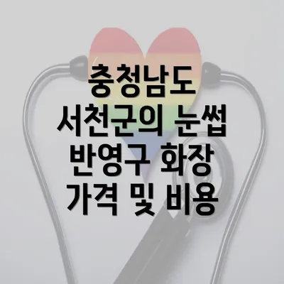 충청남도 서천군의 눈썹 반영구 화장 가격 및 비용