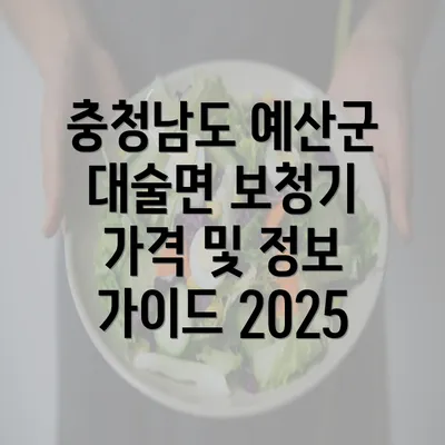 충청남도 예산군 대술면 보청기 가격 및 정보 가이드 2025