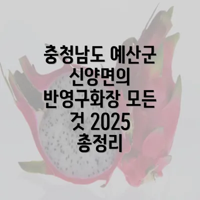 충청남도 예산군 신양면의 반영구화장 모든 것 2025 총정리