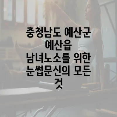 충청남도 예산군 예산읍 남녀노소를 위한 눈썹문신의 모든 것