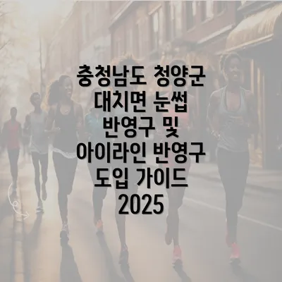 충청남도 청양군 대치면 눈썹 반영구 및 아이라인 반영구 도입 가이드 2025