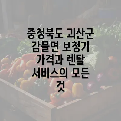 충청북도 괴산군 감물면 보청기 가격과 렌탈 서비스의 모든 것