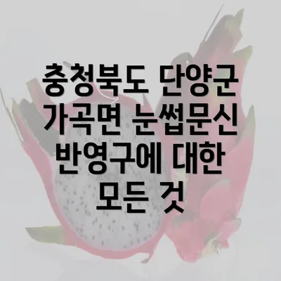 충청북도 단양군 가곡면 눈썹문신 반영구에 대한 모든 것