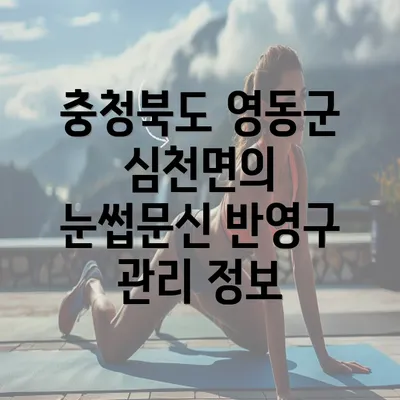 충청북도 영동군 심천면의 눈썹문신 반영구 관리 정보