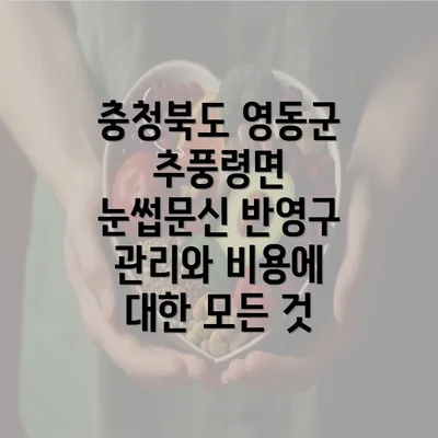 충청북도 영동군 추풍령면 눈썹문신 반영구 관리와 비용에 대한 모든 것